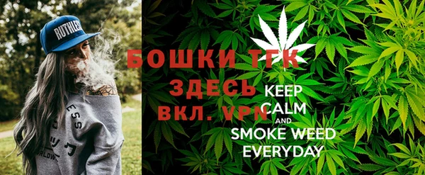 СК Арсеньев