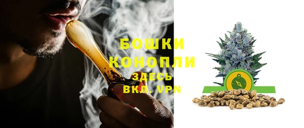 СК Арсеньев