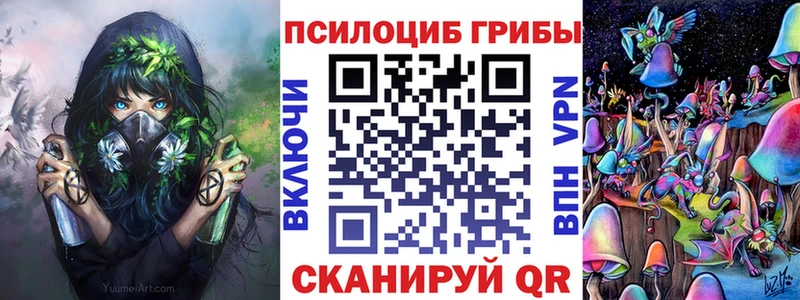 MEGA зеркало  магазин продажи   Мамадыш  Псилоцибиновые грибы Cubensis 